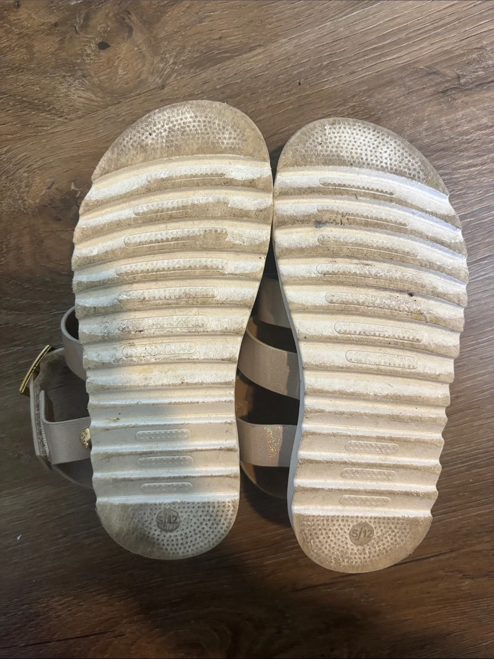 Vince Camuto shimmer champagne